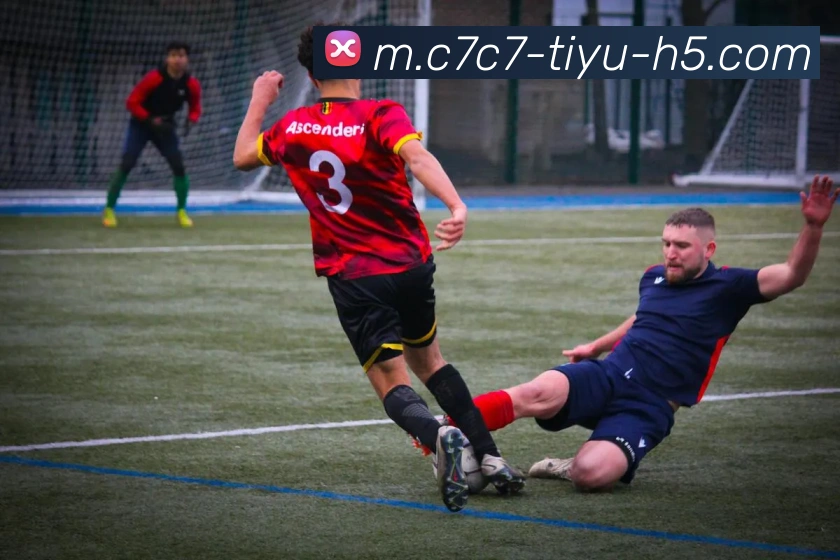 App Interface Preview