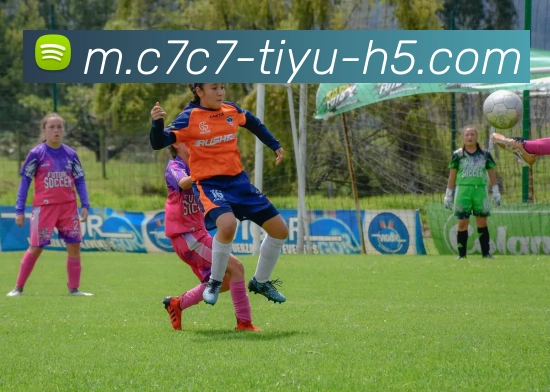 C7C7娱乐APP 封面图